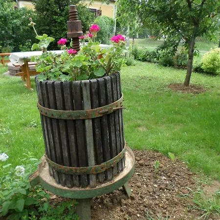 Szabadidő *