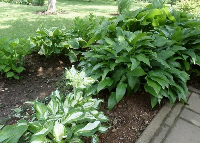 Appartamento Szabadidő